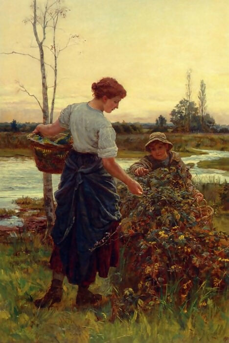 Frederick Morgan – #35297