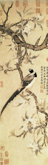 Chinese Artists of the Middle Ages (佚名 - 梨花山鹊图) – Unknown 50X40 Canvas