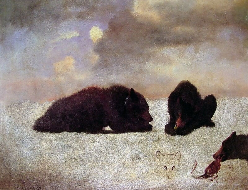 Albert Bierstadt - Grizzly Bears 50X40 Canvas