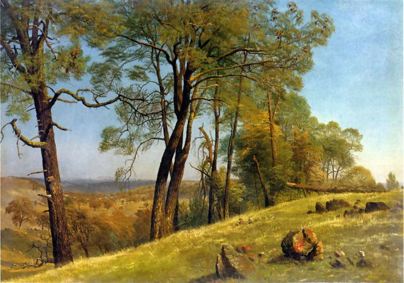 Albert Bierstadt - Landscape of Rockland County California 50X53 Canvas