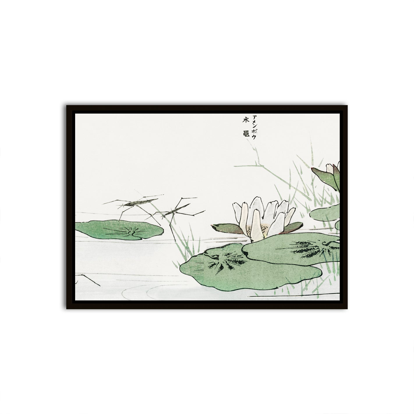 Tranquil Pond Serenity Black Canvas frame acrylic canvas Frames