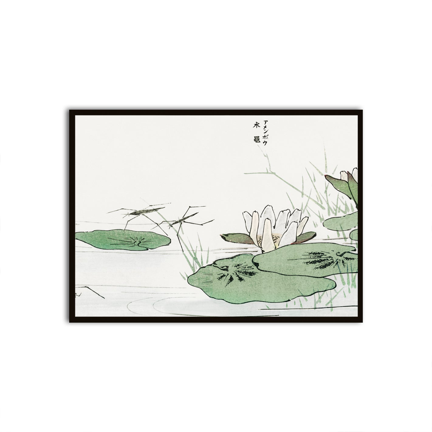 Tranquil Pond Serenity Black Printed frame acrylic canvas Frames