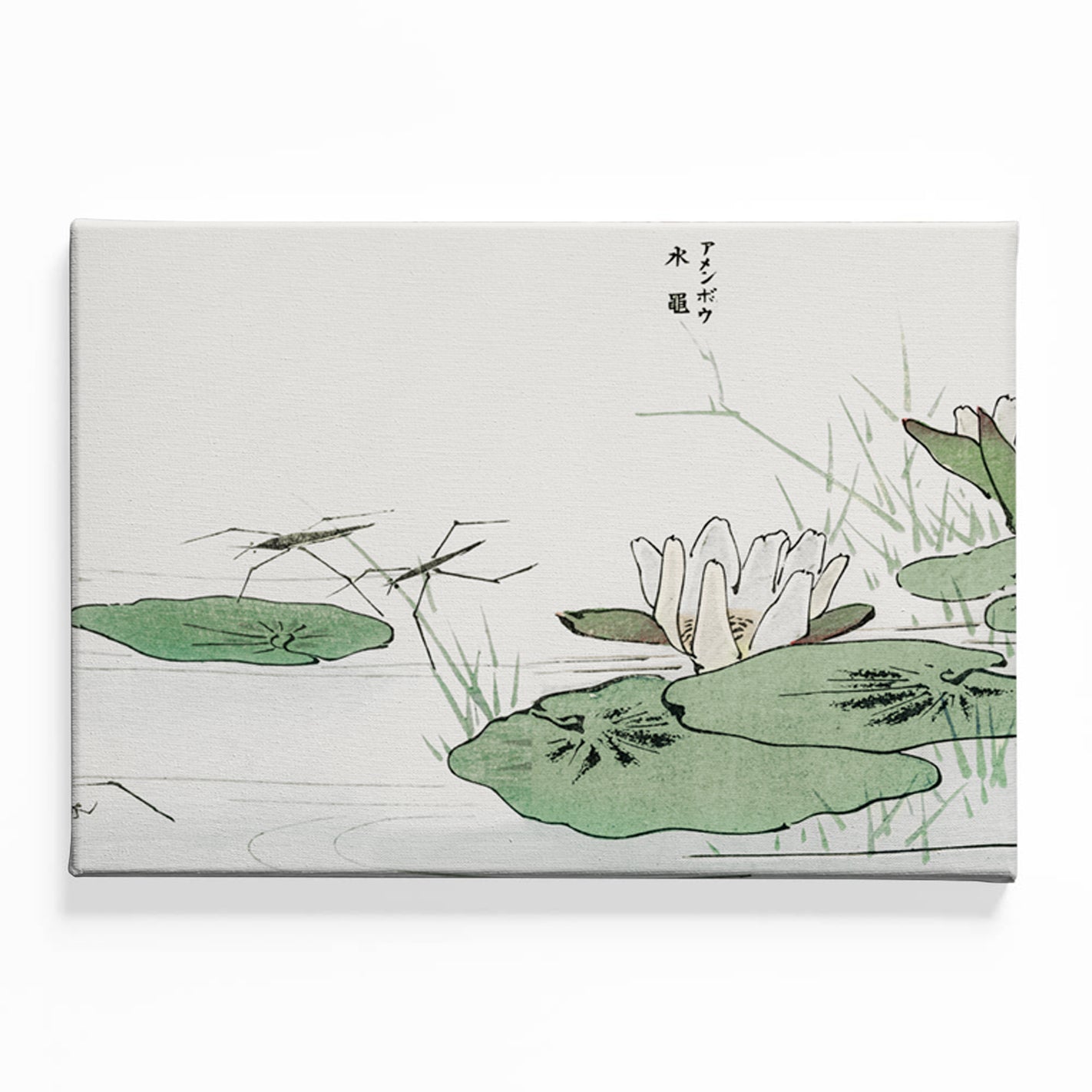 Tranquil Pond Serenity Canvas acrylic canvas Frames