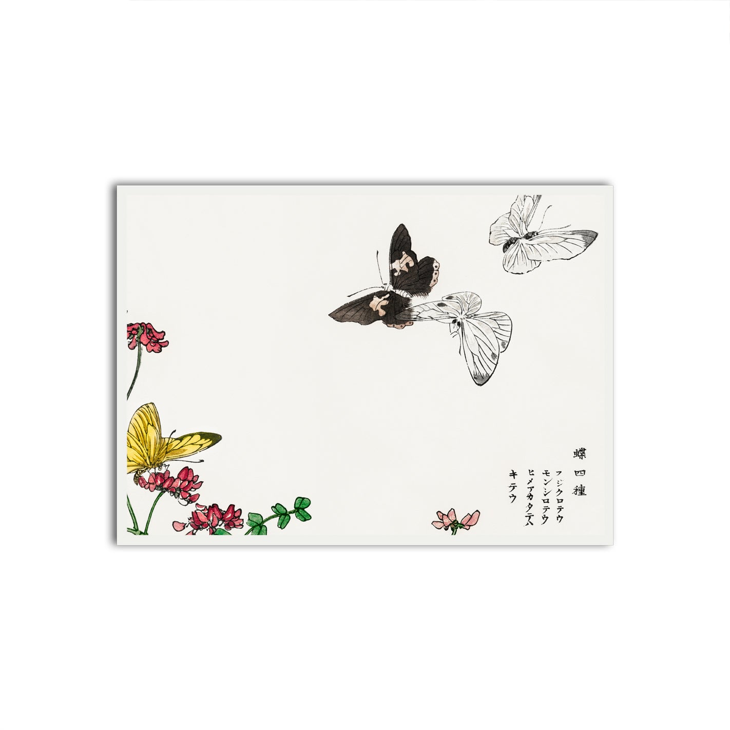 Ephemeral Flutter White Printed frame acrylic canvas Frames