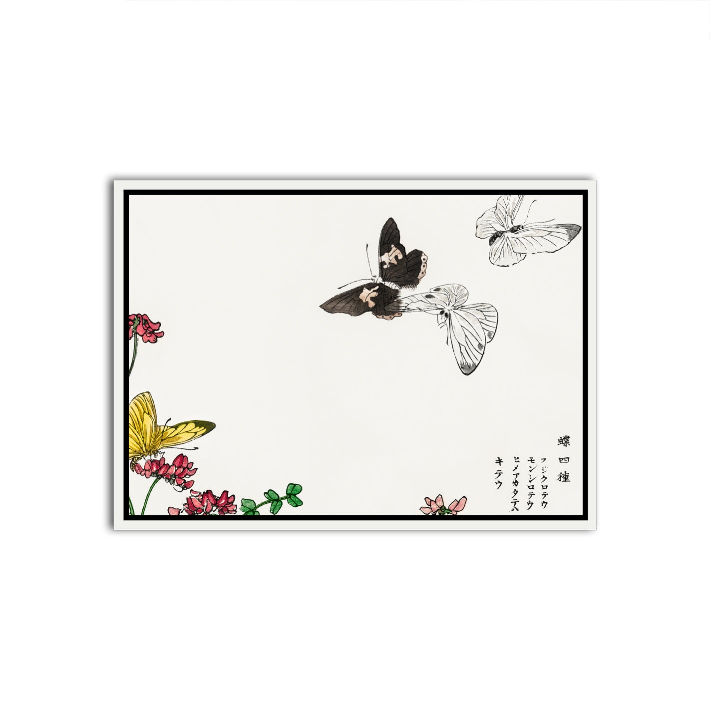 Ephemeral Flutter White Canvas frame acrylic canvas Frames