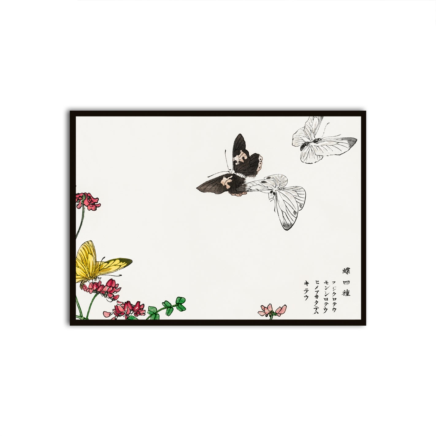 Ephemeral Flutter Black Printed frame acrylic canvas Frames