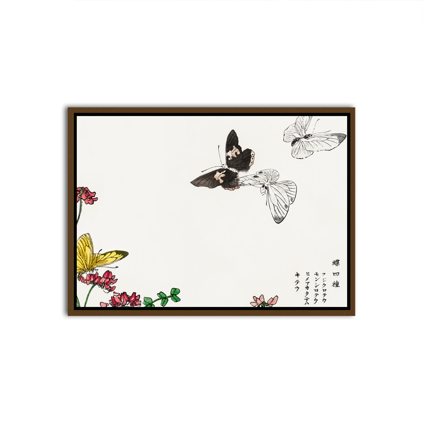 Ephemeral Flutter Black Canvas frame acrylic canvas Frames