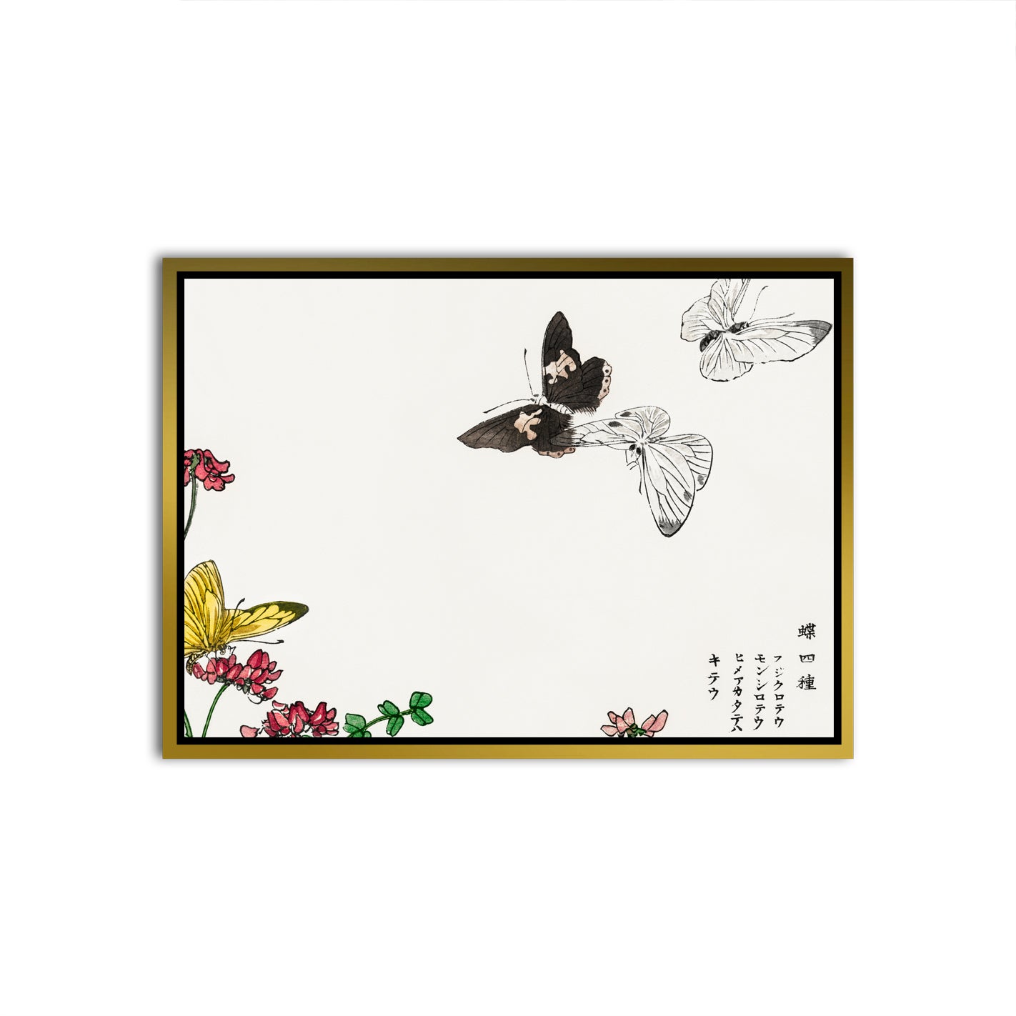 Ephemeral Flutter Canvas frame acrylic canvas Frames