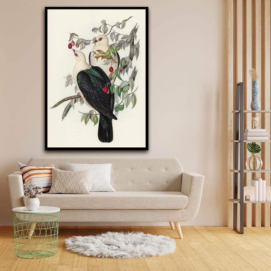 White Head Pigeon acrylic canvas Frames