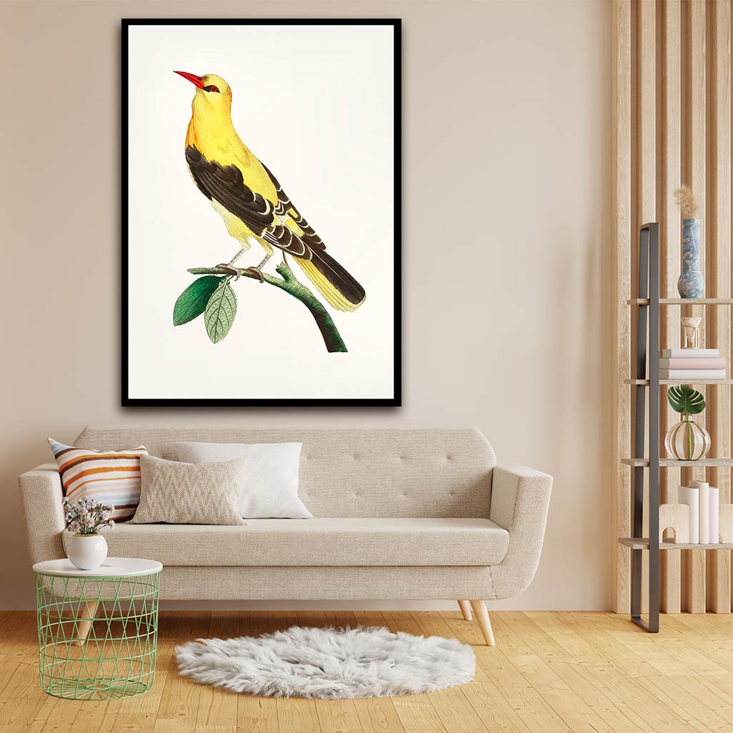 Golden Oriole Bird acrylic canvas Frames