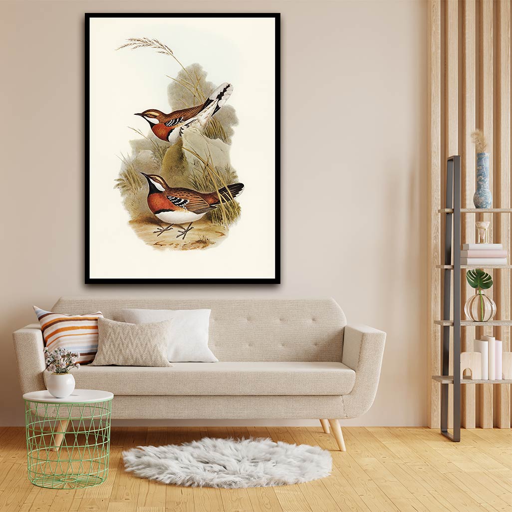 Antique bird acrylic canvas Frames