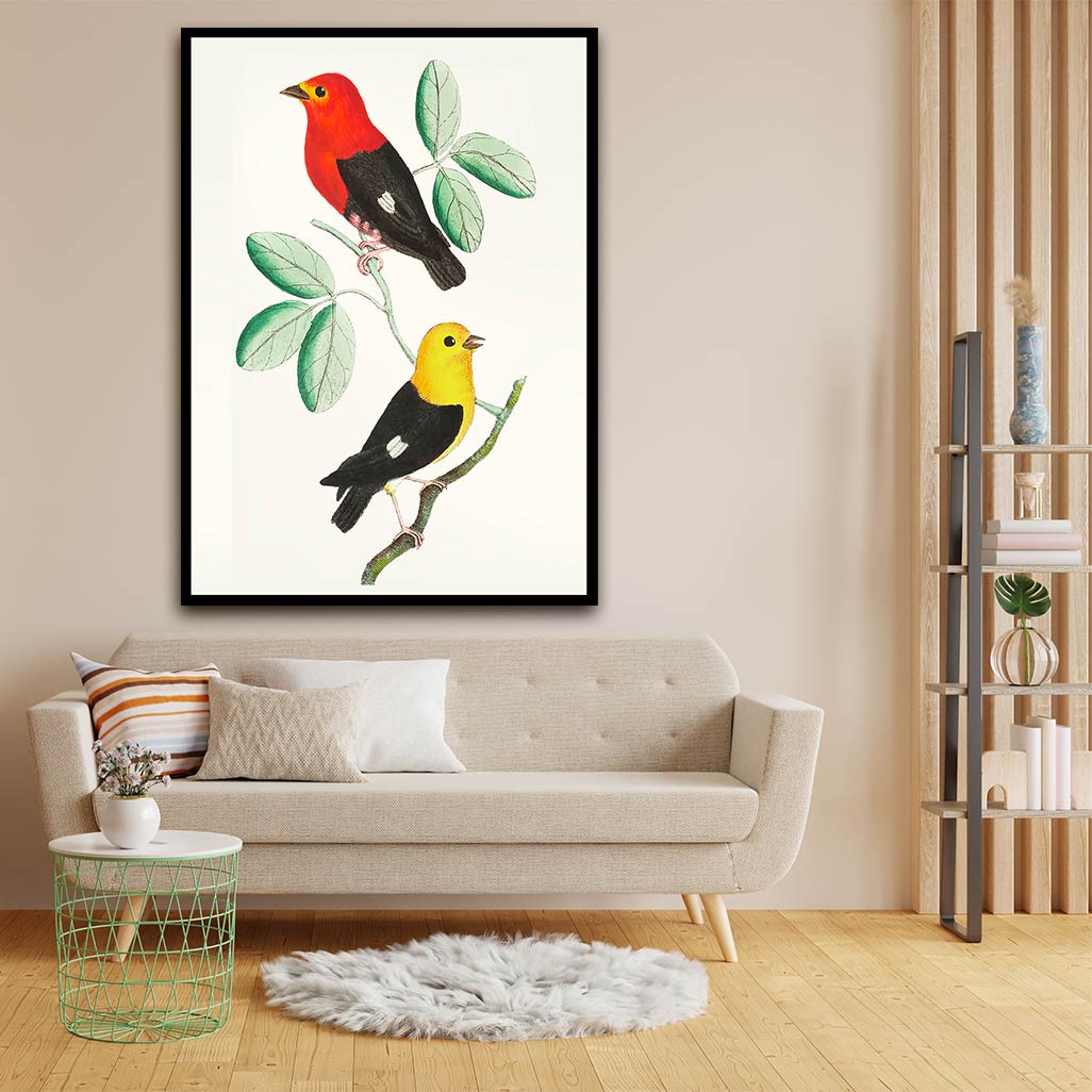 Colourful bird acrylic canvas Frames