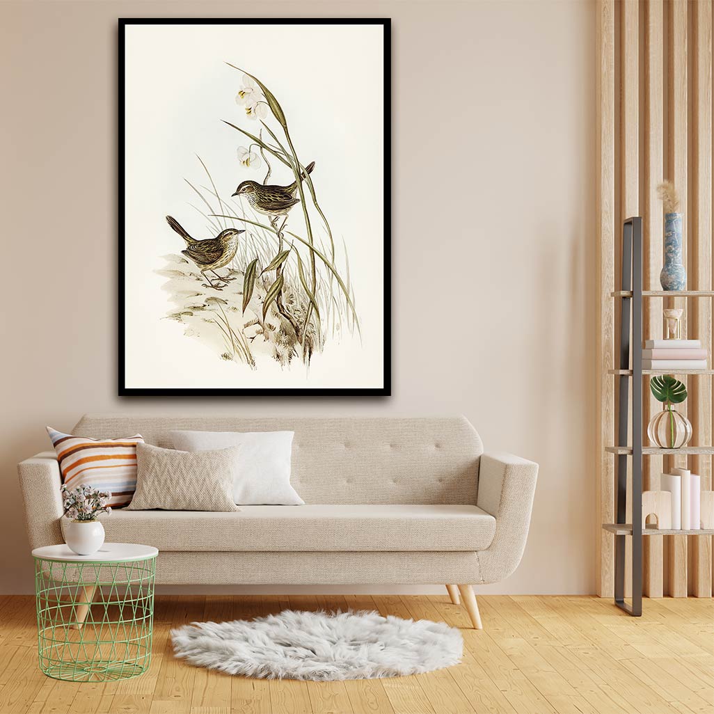 Sparrow acrylic canvas Frames