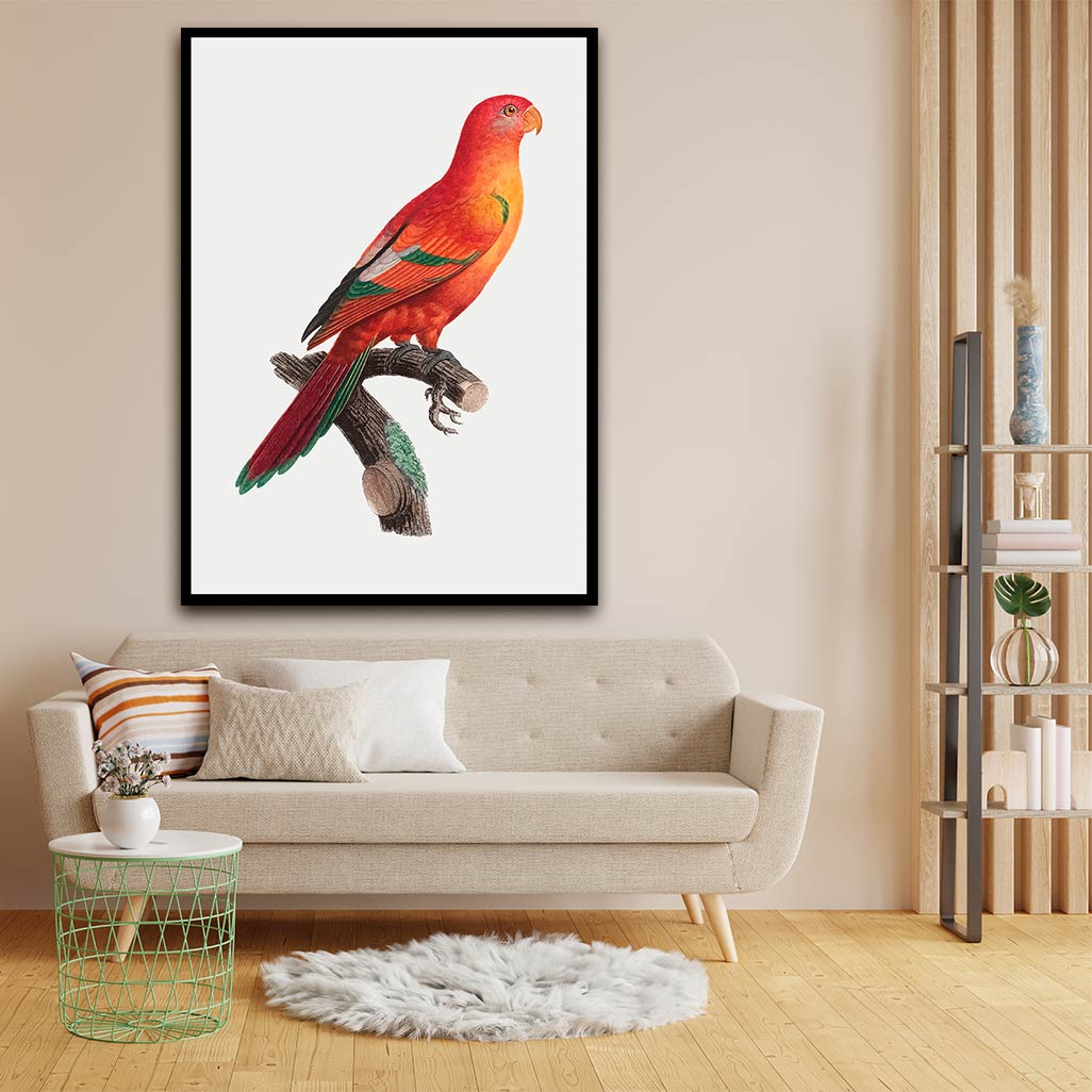 Shining Parrot acrylic canvas Frames