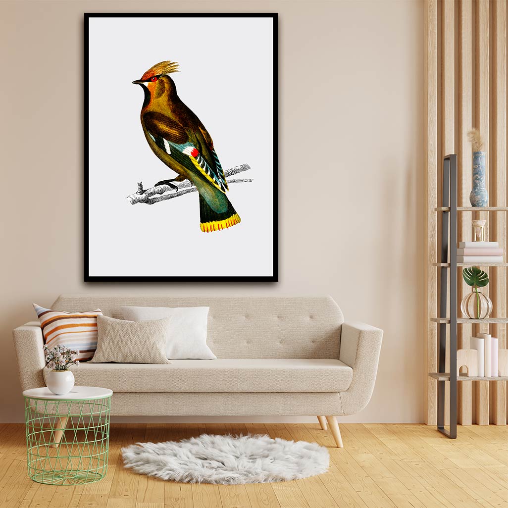 Bohemian waxwing acrylic canvas Frames