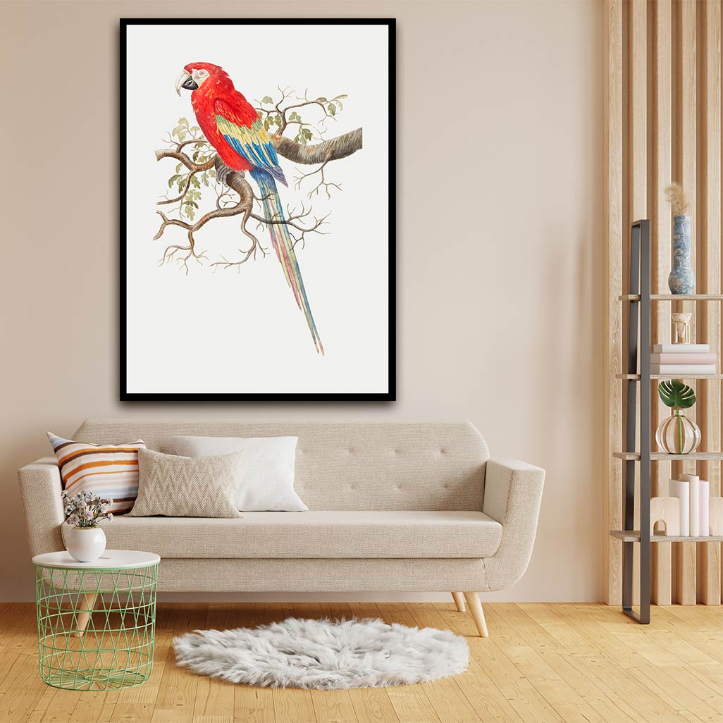 Parrot acrylic canvas Frames