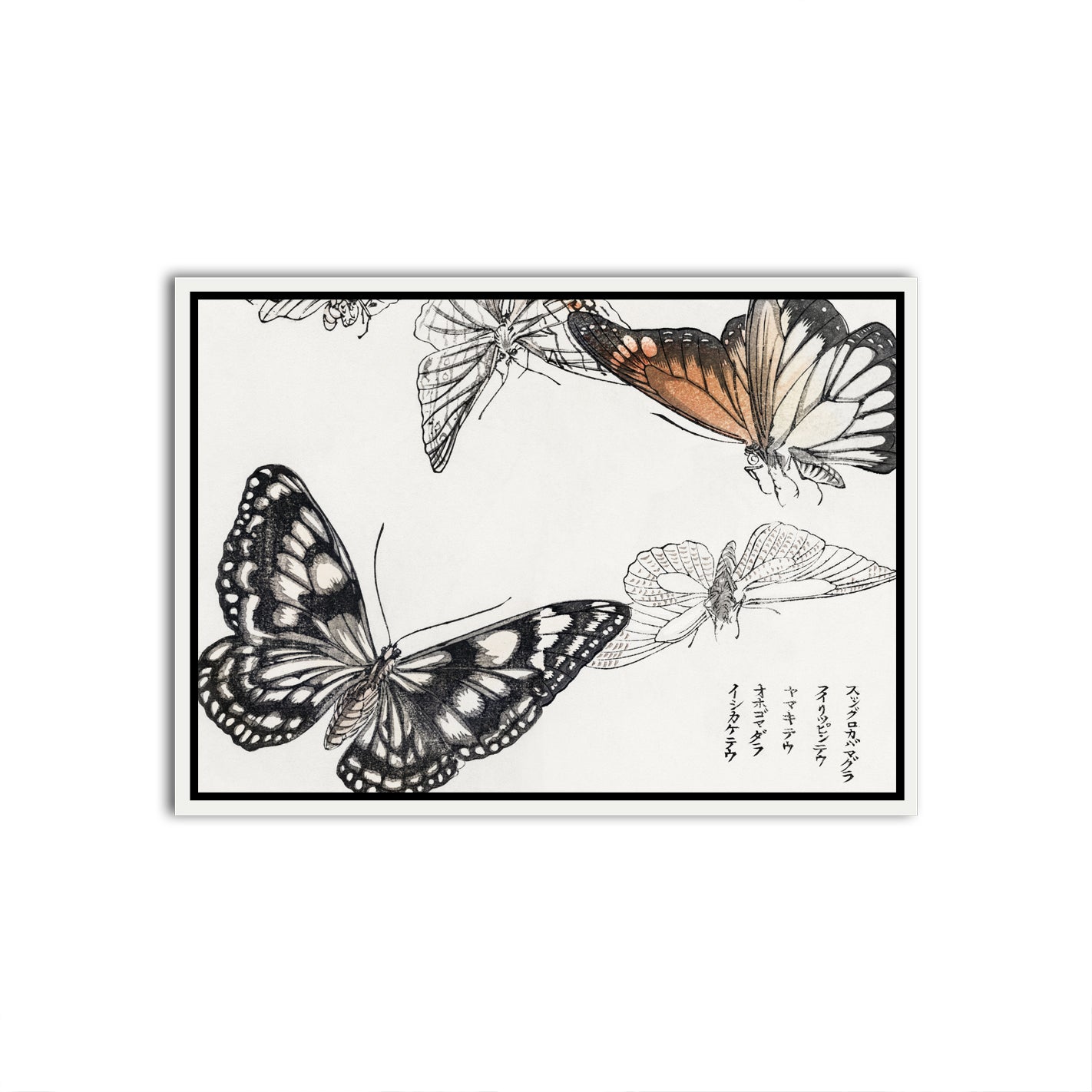 Ephemeral Fly White Canvas frame acrylic canvas Frames