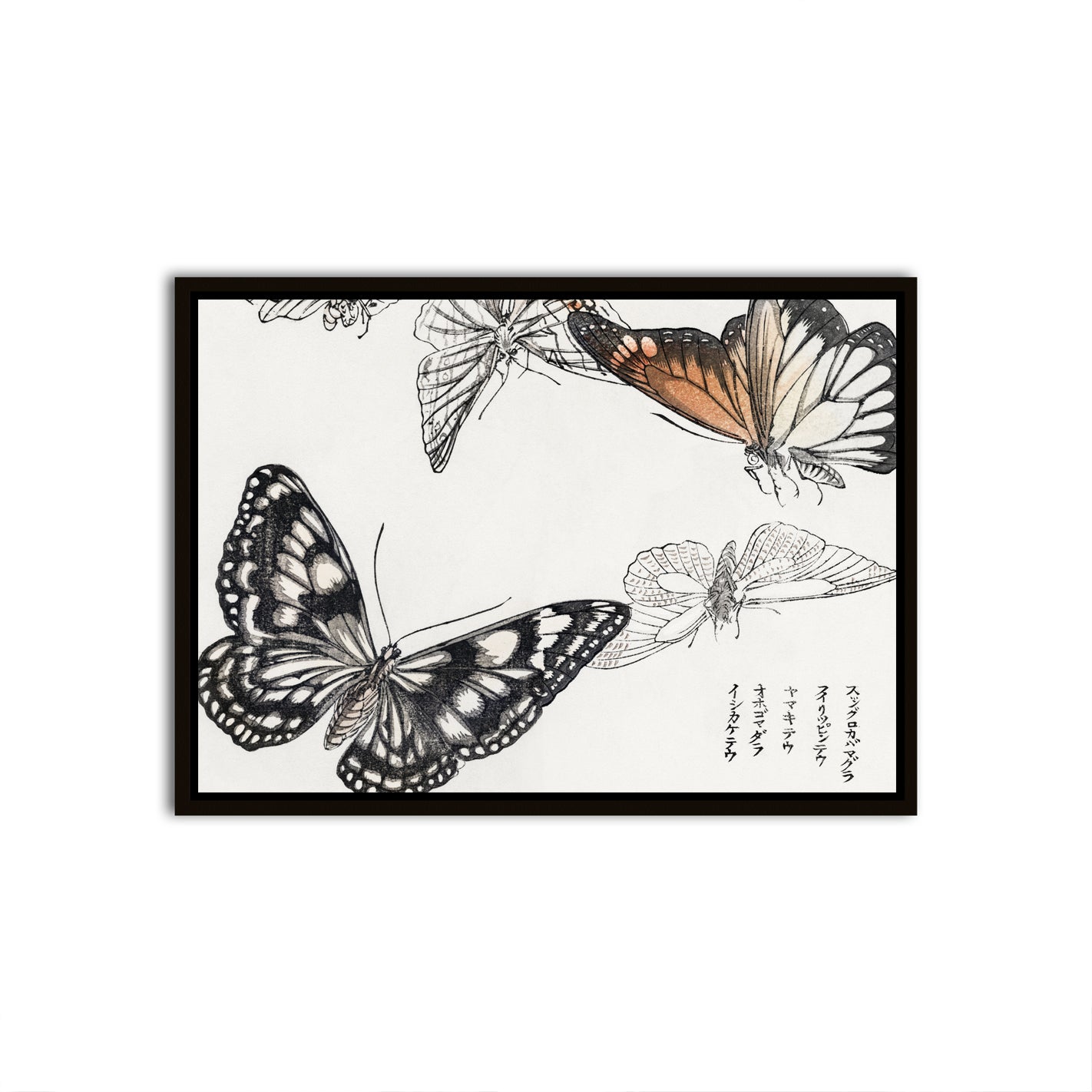 Ephemeral Fly Black Canvas frame acrylic canvas Frames