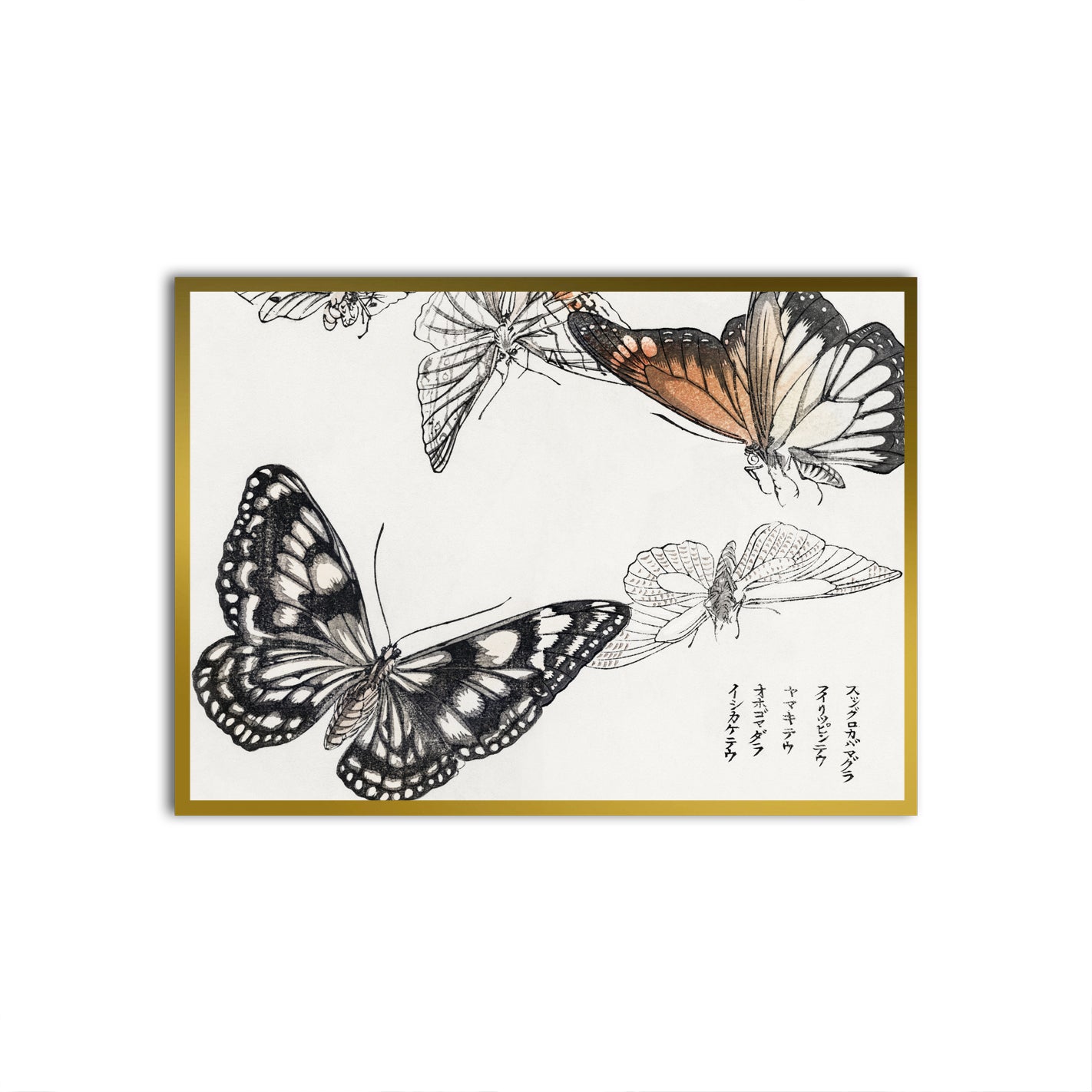 Ephemeral Fly Gold Printed frame acrylic canvas Frames