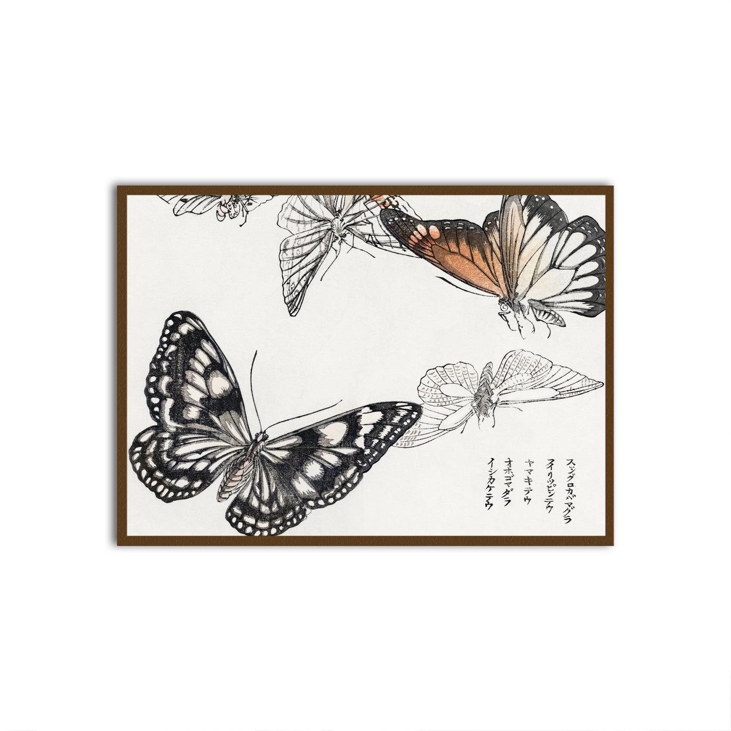 Ephemeral Fly Brown Printed frame acrylic canvas Frames