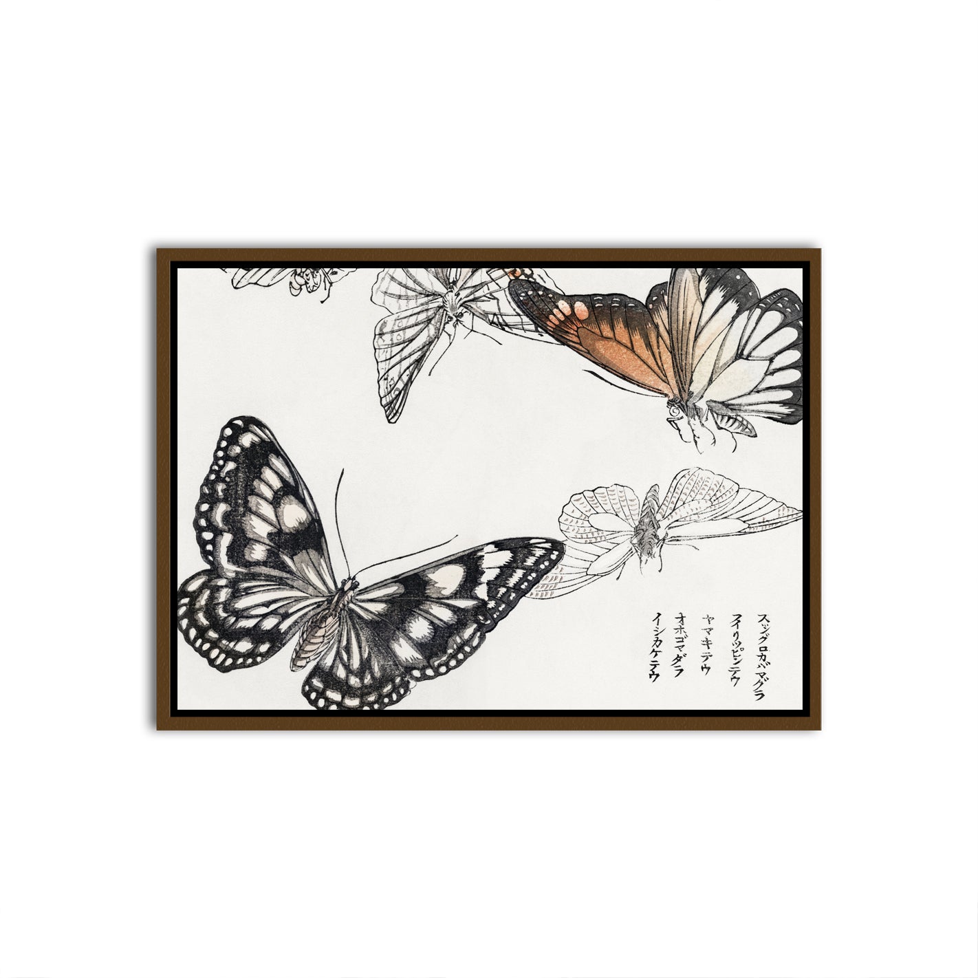 Ephemeral Fly Brown Canvas frame acrylic canvas Frames