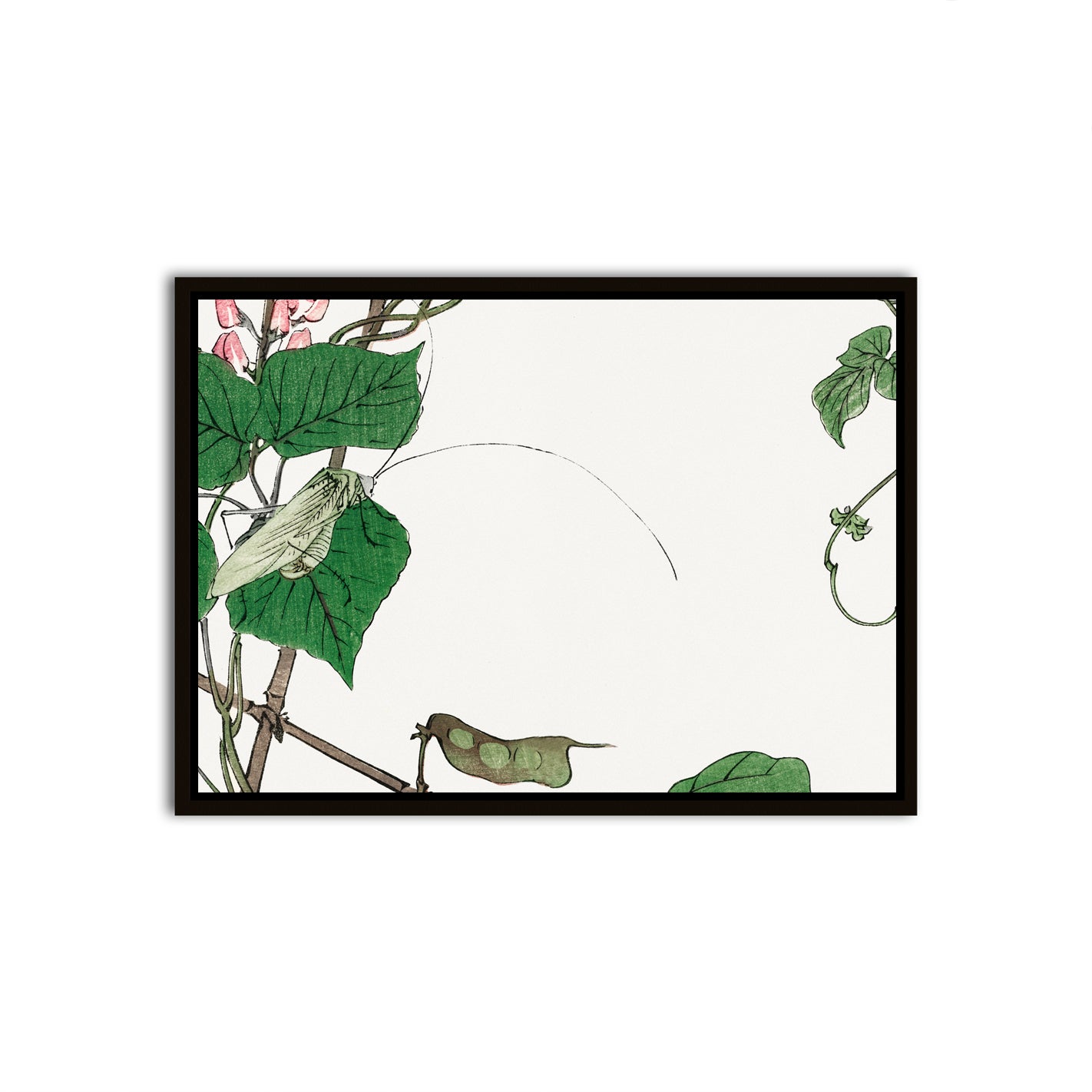 Tranquil Perch Black Canvas frame acrylic canvas Frames