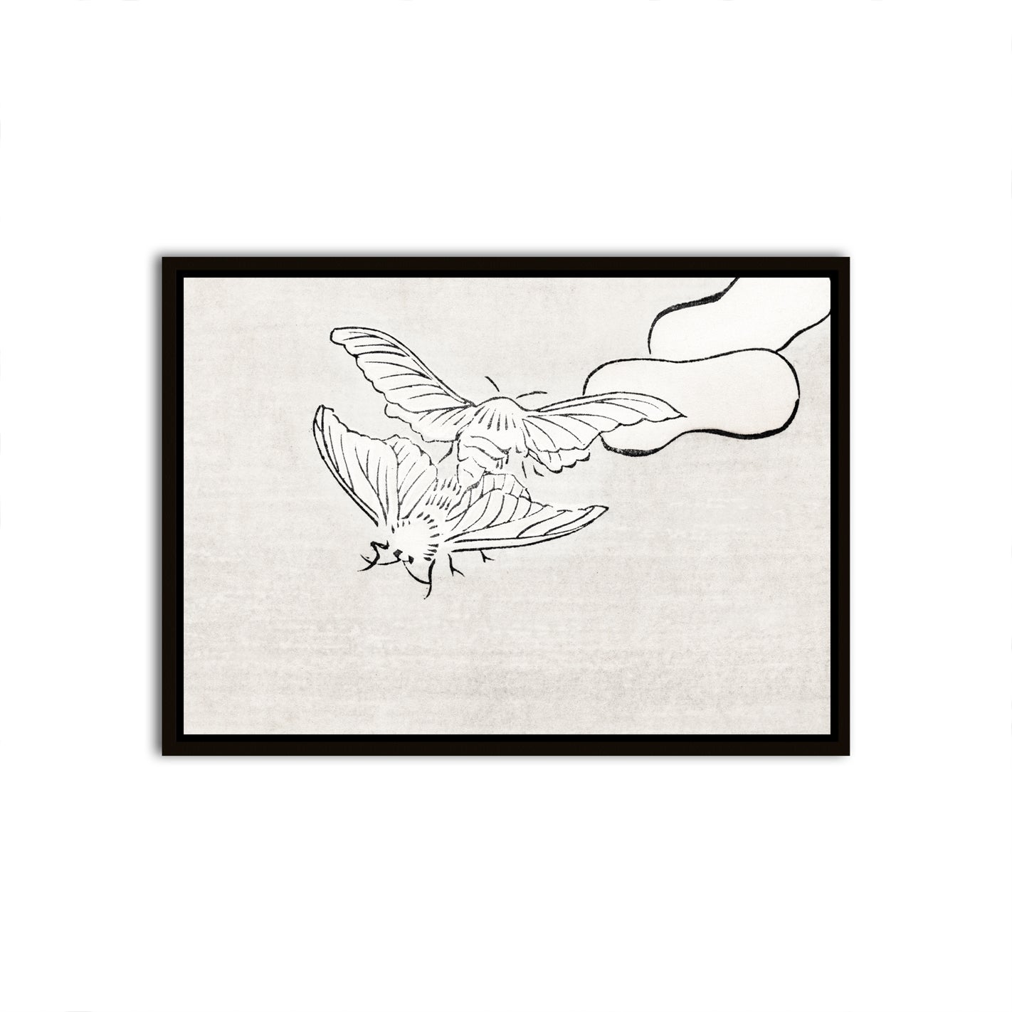 Ephemeral Flight Black Canvas frame acrylic canvas Frames