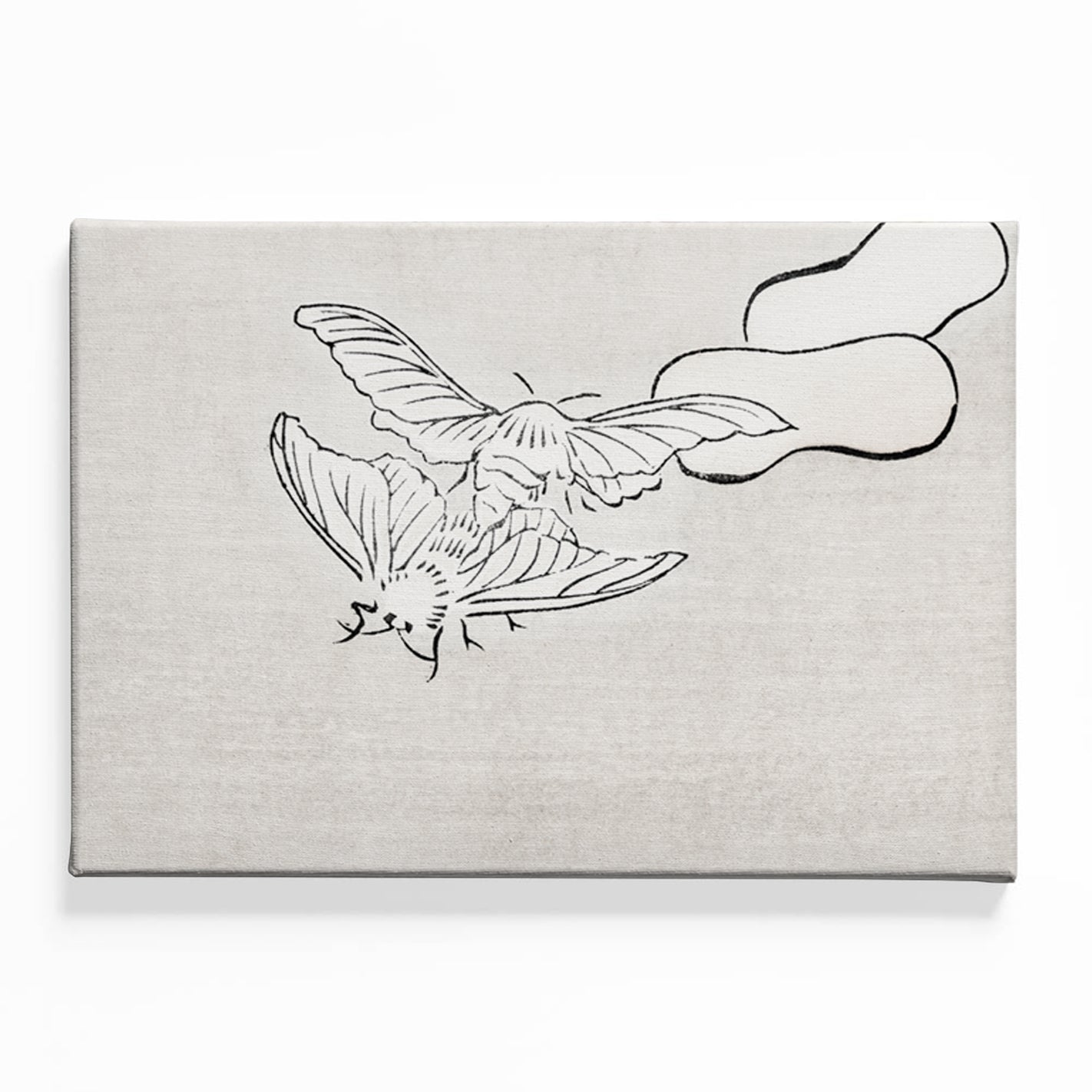 Ephemeral Flight Canvas acrylic canvas Frames