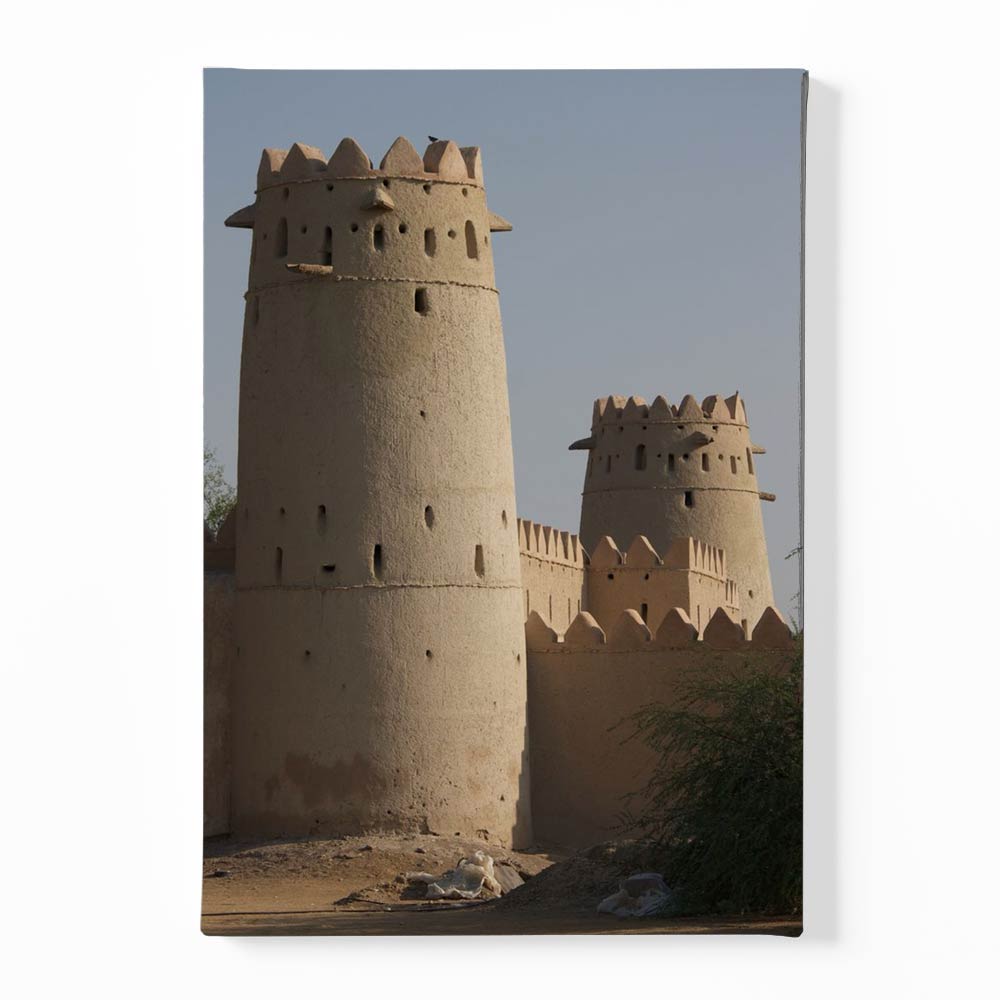 Fort Canvas acrylic canvas Frames