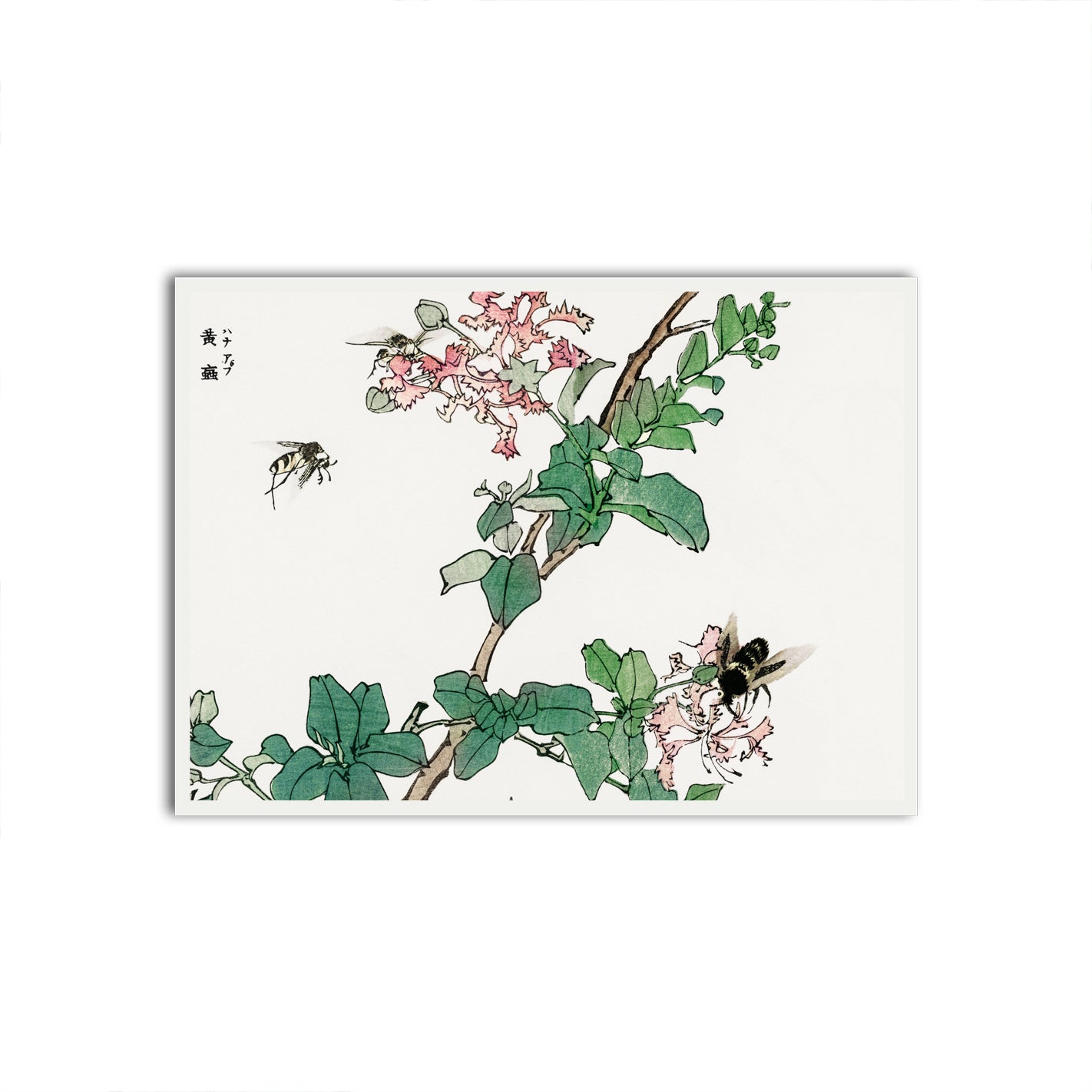 Blossoms and Bees White Printed frame acrylic canvas Frames