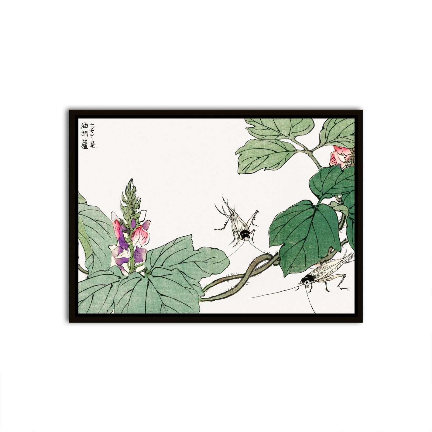 Tranquil Blossoms Black Canvas frame acrylic canvas Frames