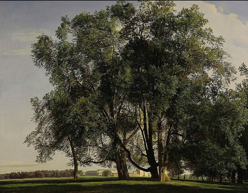 Old and New National Galleries Waldmüller Ferdinand Georg 1793 - 1865 Landscape near the Prater 50X88 Canvas
