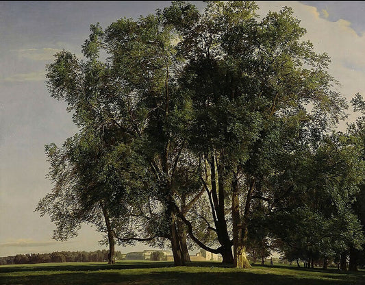 Old and New National Galleries Waldmüller Ferdinand Georg 1793 - 1865 Landscape near the Prater 50X88 Canvas
