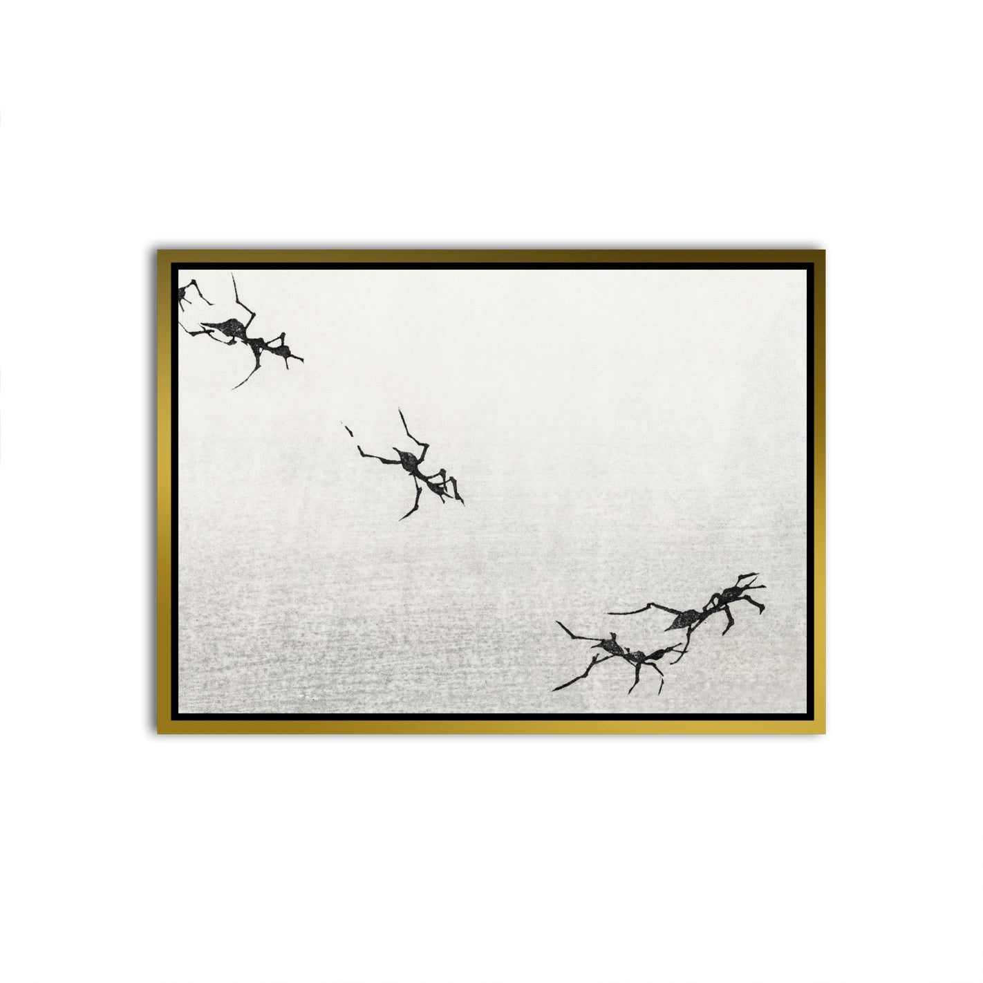 Traces Gold Canvas frame acrylic canvas Frames