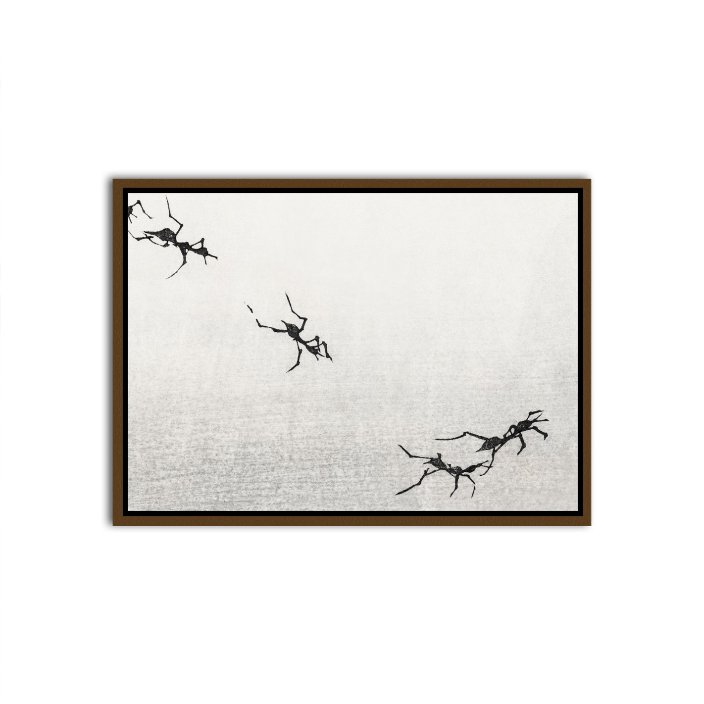 Traces Brown Canvas frame acrylic canvas Frames