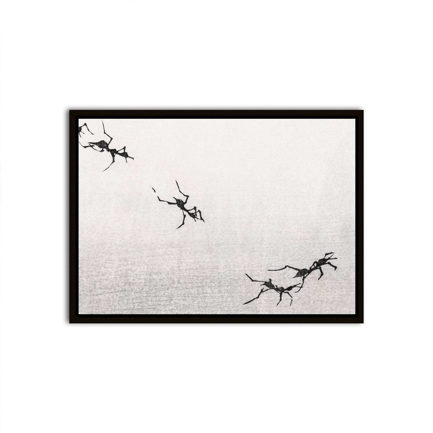 Traces Black Canvas frame acrylic canvas Frames