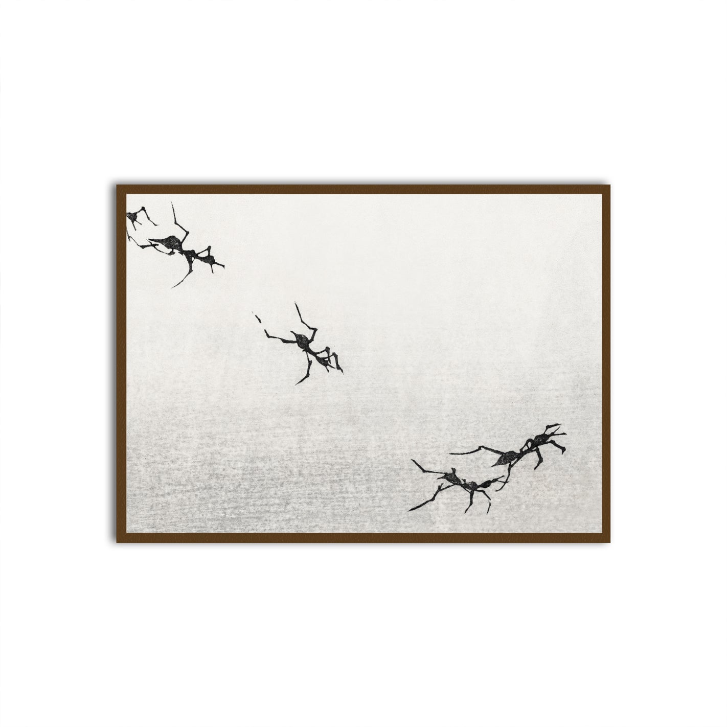 Traces Brown Printed frame acrylic canvas Frames