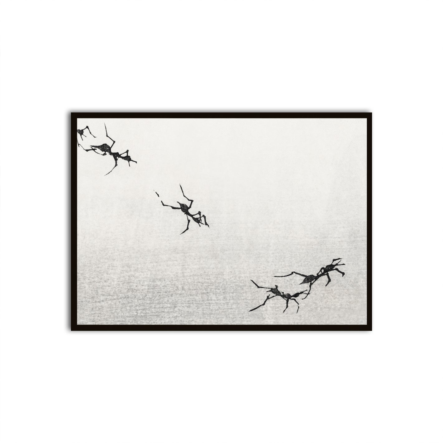 Traces Black Printed frame acrylic canvas Frames