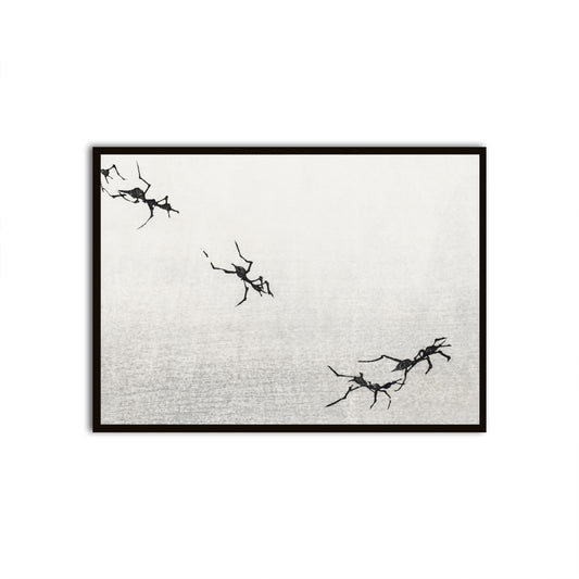 Traces Black Printed frame acrylic canvas Frames