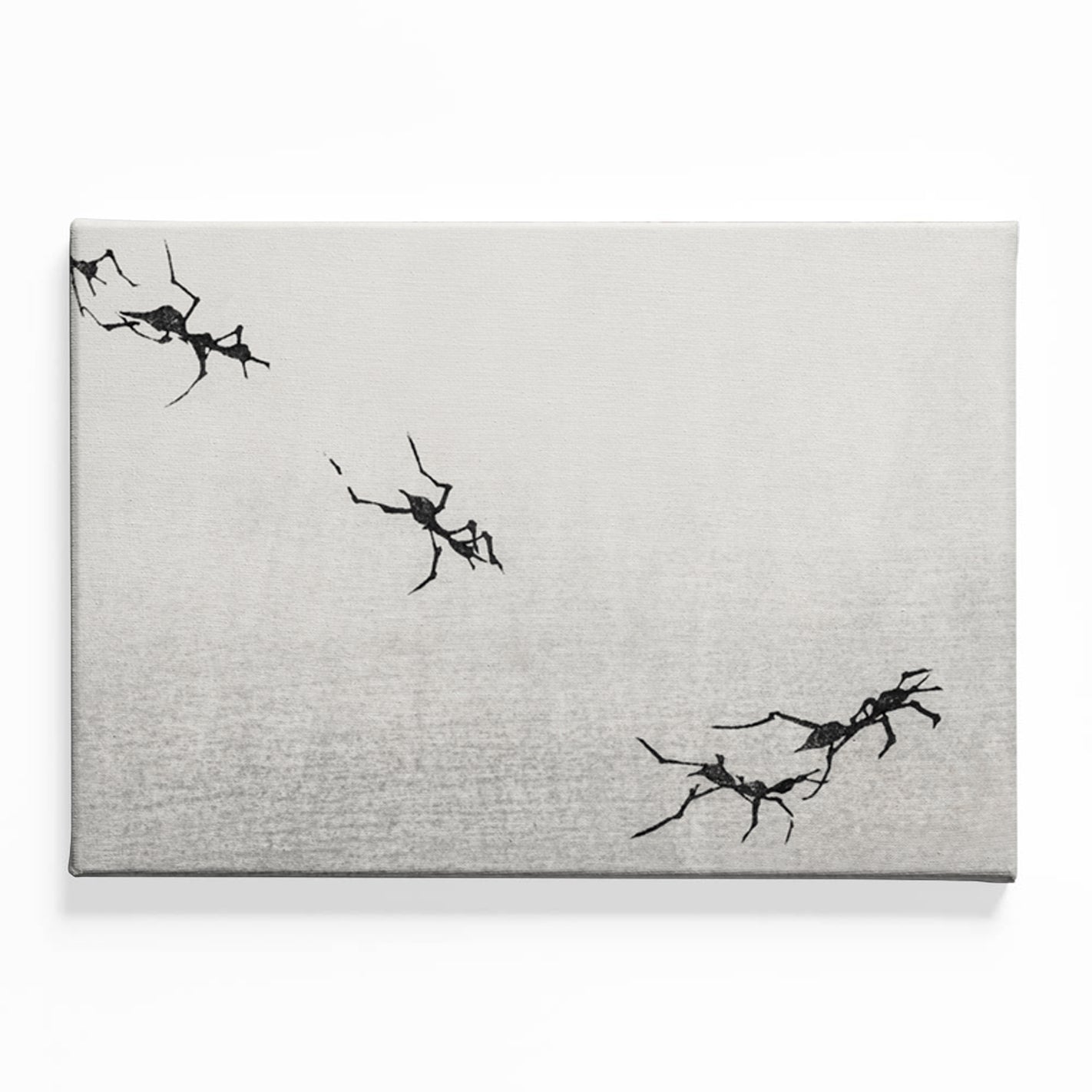 Traces Canvas acrylic canvas Frames