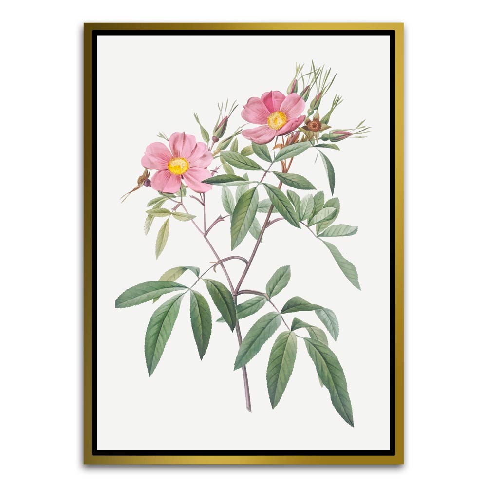 Botanical Art 1 Gold Canvas frame acrylic canvas Frames