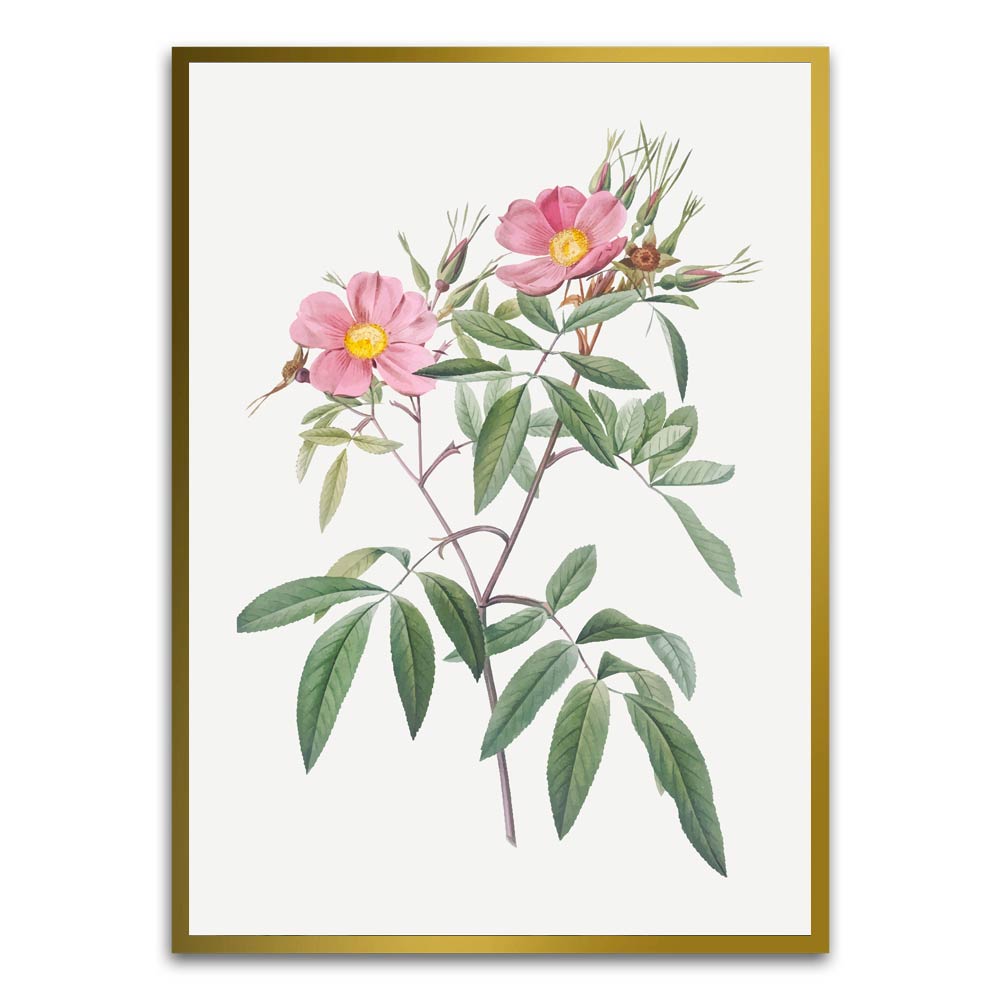 Botanical Art 1 Gold Printed frame acrylic canvas Frames