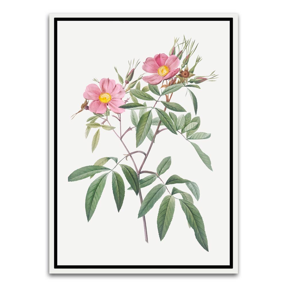 Botanical Art 1 White Canvas frame acrylic canvas Frames