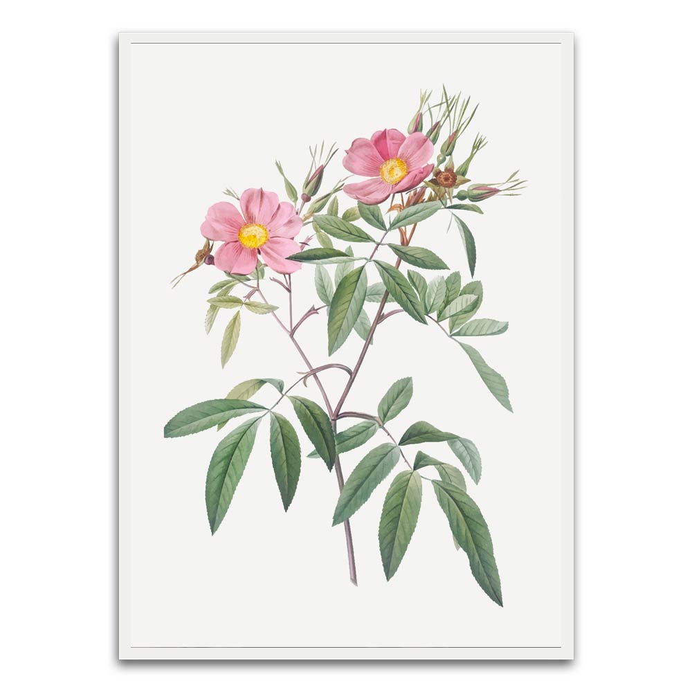 Botanical Art 1 White Printed frame acrylic canvas Frames