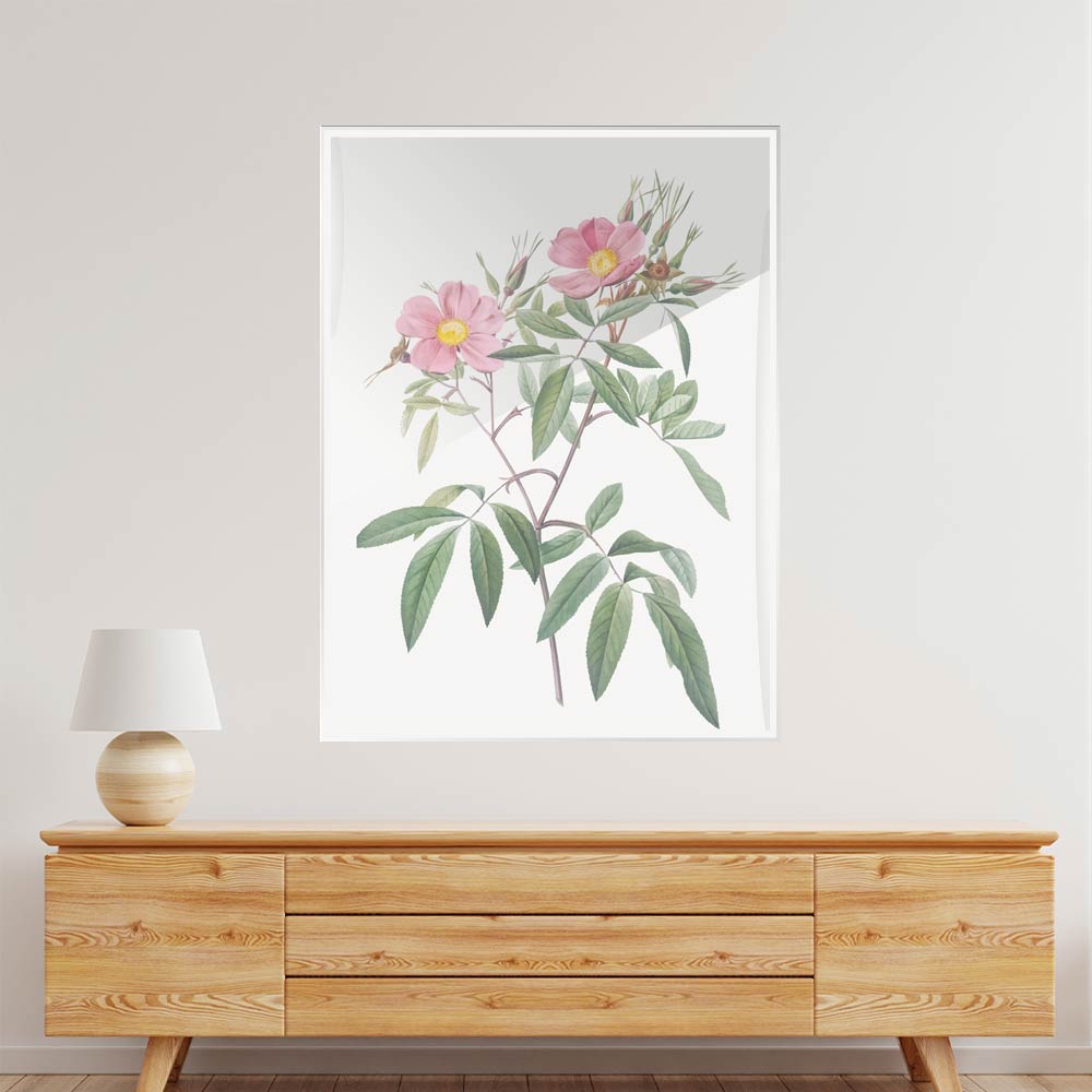 Botanical Art 1 Acrylic acrylic canvas Frames