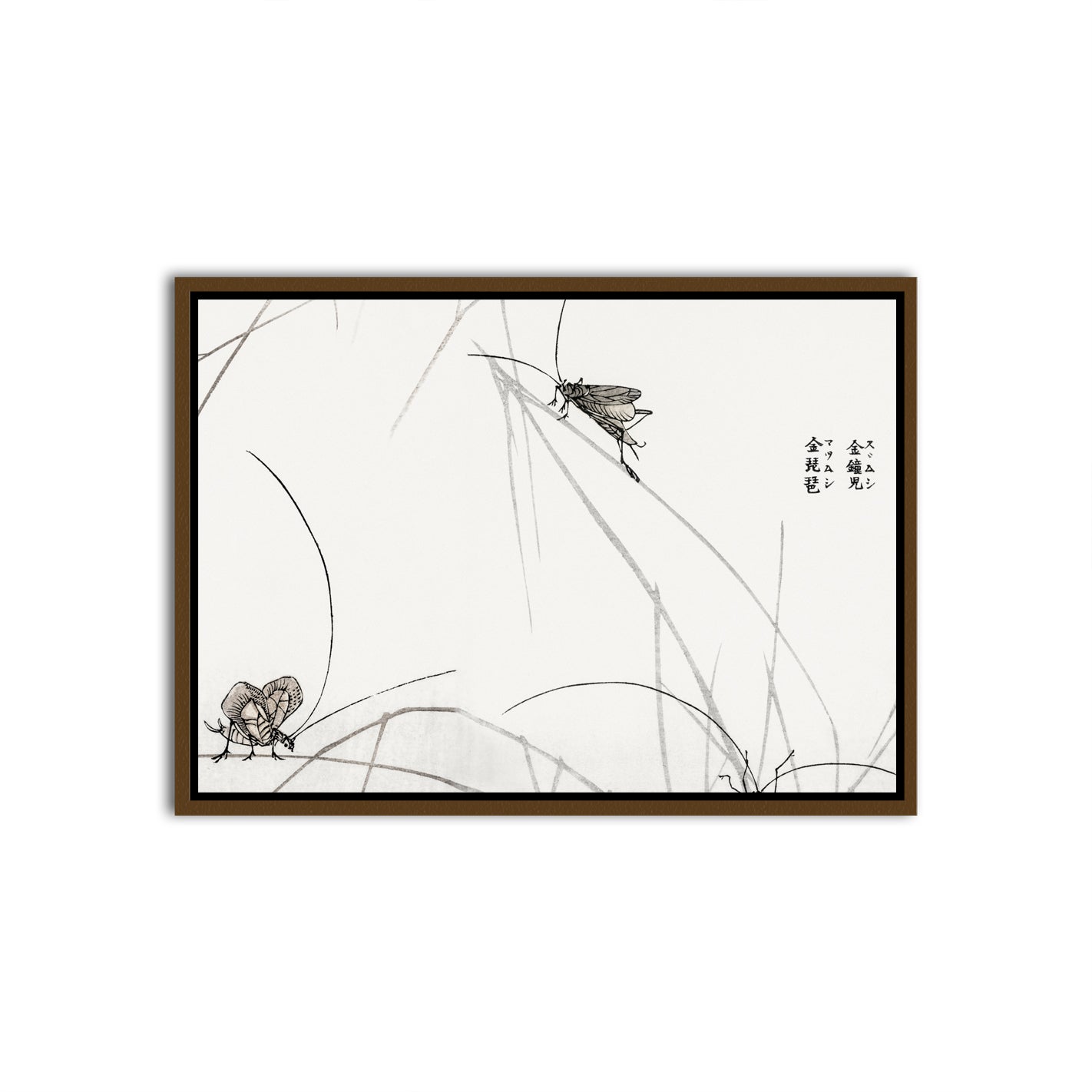 Whispers of Nature Brown Canvas frame acrylic canvas Frames