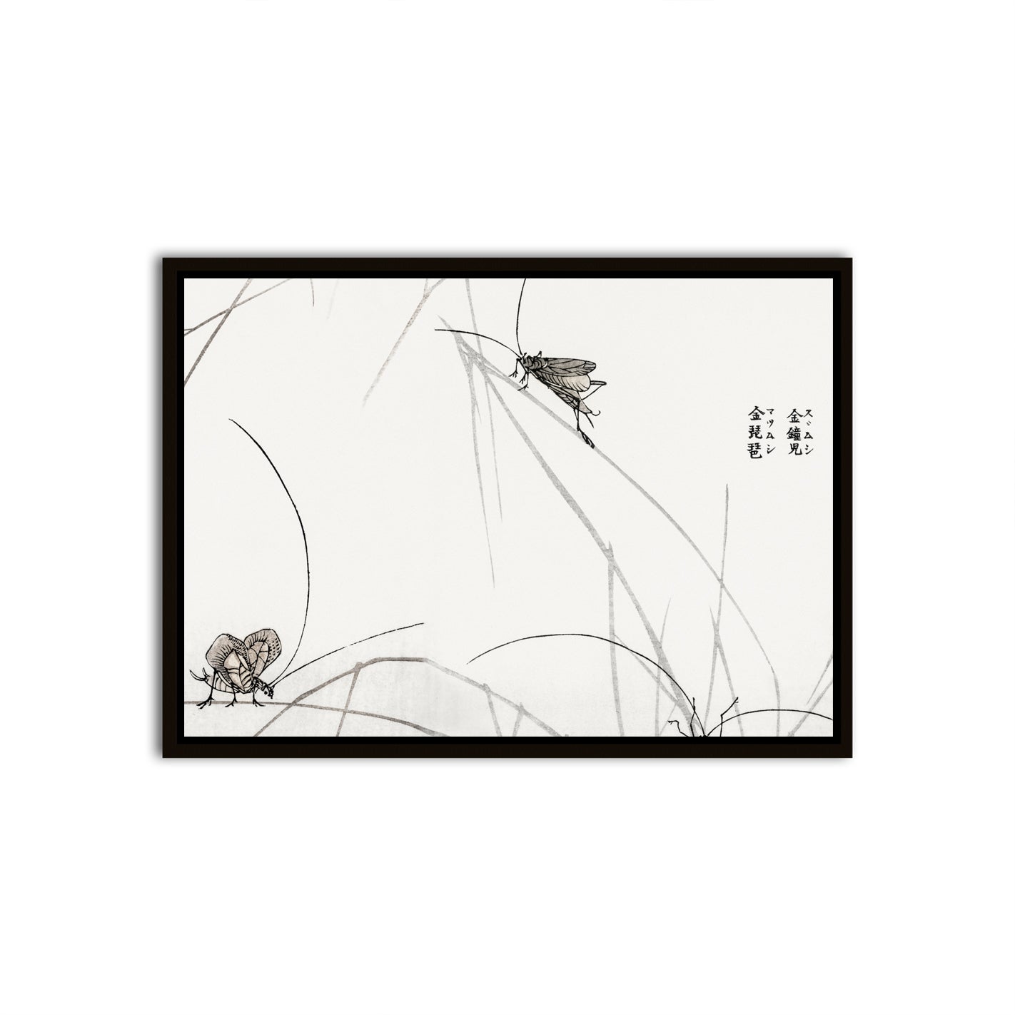 Whispers of Nature Black Canvas frame acrylic canvas Frames