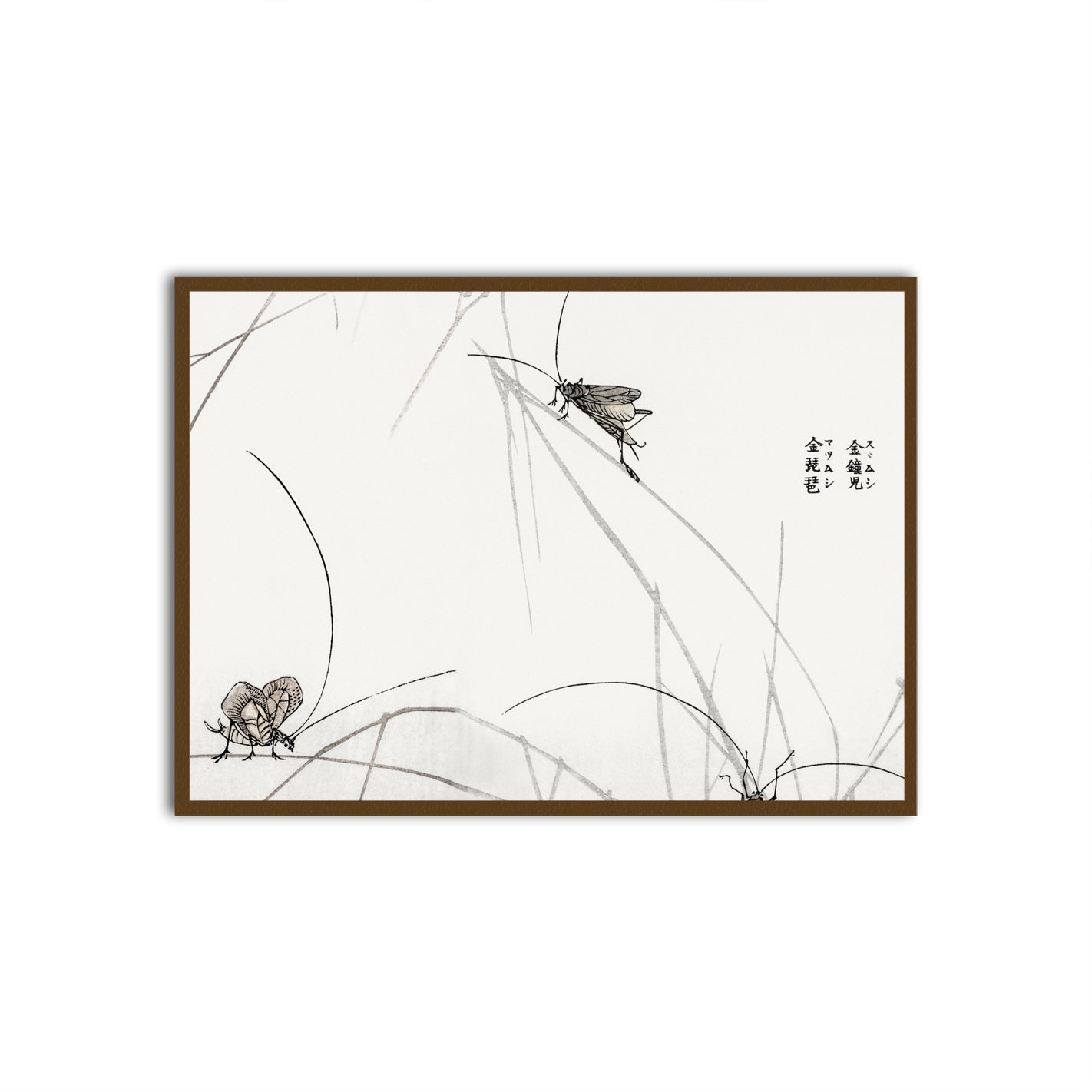 Whispers of Nature Brown Printed frame acrylic canvas Frames