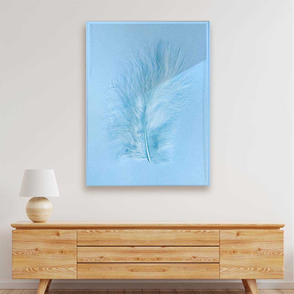 Minimalism Feather acrylic canvas Frames