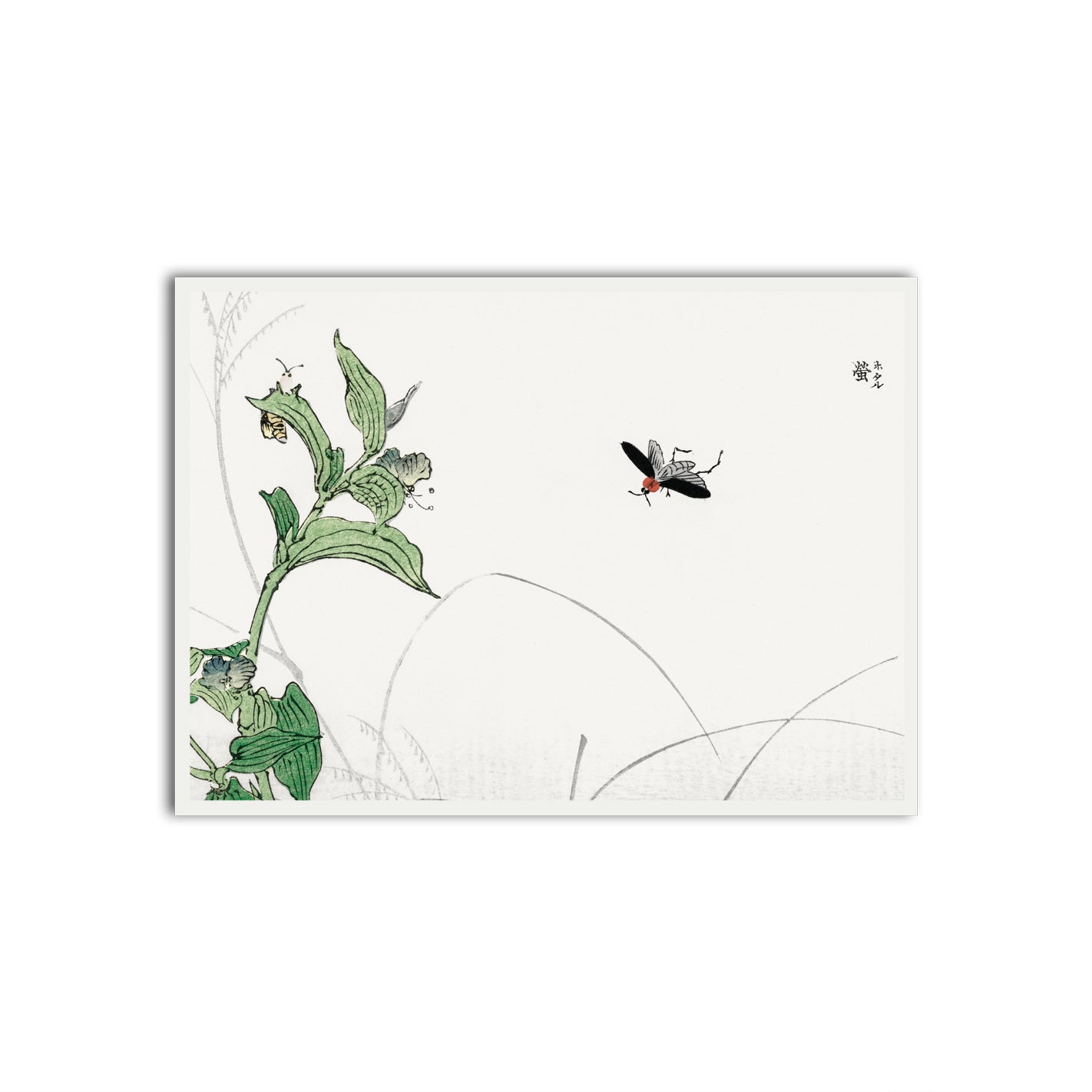 Fluttering Grace White Printed frame acrylic canvas Frames